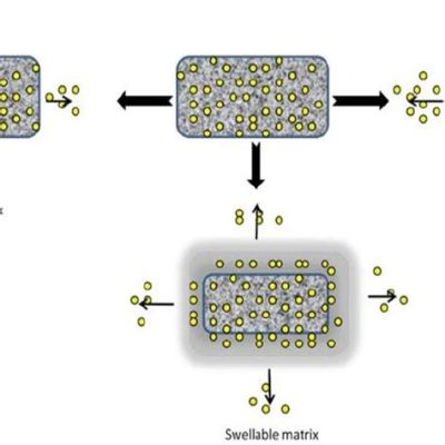 Dextran: Una matrice idrofila per il rilascio controllato di farmaci e la rigenerazione tissutale!