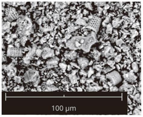  Diatomite: Un Materiale Poroso per Filtrazione e Isolamento Termico?