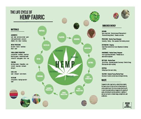  Hemp: Il Fiore della Sostenibilità nell’Industria tessile e nella Produzione di Biocarburanti!